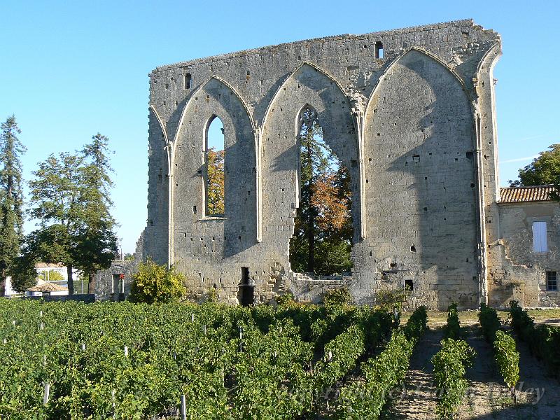 Vineyards in Saint-Émilion P1140312.JPG